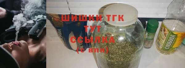 твердый Верхний Тагил